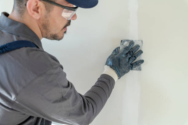 Best Trim and Molding Painting  in Mount Olive, IL